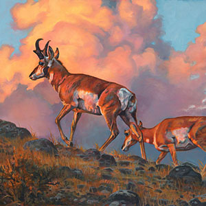 thumbnail of New Horizons